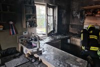 Při požáru v Dolních Studénkách zemřelo šest border kolií: Zranil se i majitel, škoda je přes milion korun