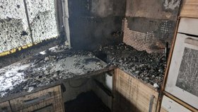 Při požáru v rodinném domě na Šumpersku zemřelo šest psů. Majitel se zranil.