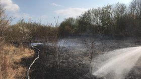Hasiči likvidovali požár travnaté plochy v Praze 10.