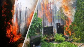 Na Vinohradském hřbitově začaly hořet túje. Požár vznikl nejspíše neobratnou manipulací se svíčkou. (16. červen 2021)
