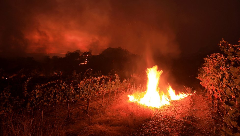 Požáry na severu Kalifornie, se kterými bojuje 8000 hasičů, si vyžádaly nejméně 31 obětí.