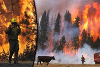 Ohnivé peklo v zeleném ráji: Plameny požírají Yosemitský park!