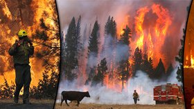 Požár již přes dva týdny decimuje Yosemitský park