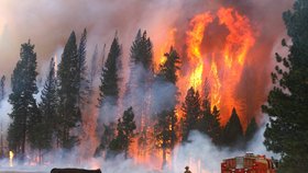 Oheň ohrožuje v Yosemitském parku i stovky zvířat