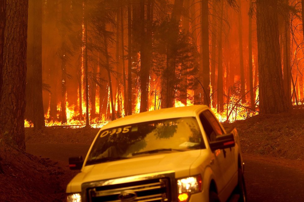 Požár sežehl už 65 hektarů porostu
