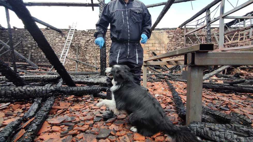 Požár stodoly v zámeckém statku v Újezdu nade Mží u Plzně zničil expozici zemědělského a vesnického života, služební pes na místě hledal urychlovače hoření.