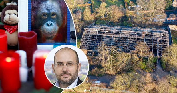 Ředitel pražské zoo o tragickém požáru v pavilonu opic: Pitomé lampiony štěstí! 