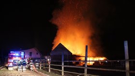 Požár, při kterém zahynuli čtyři, údajně založila mladistvá dívka 