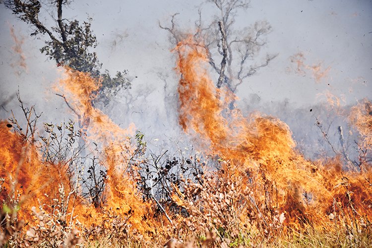 Velké kusy zalesněných území hoří v africké Angole a Kongu a v jihoamerickém Amazonském pralese