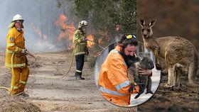 požáry v Austrálii