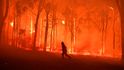 Počátek roku byl poznamenán rozsáhlými požáry v Austrálii, které přetrvaly až do května. Vyhořela větší plocha než kolik má celé Slovensko.
