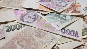 Minimální důstojná mzda v Česku loni činila 45 865 Kč hrubého.