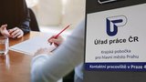 Češi plní „pracáky“. Nezaměstnanost vzrostla na čtyři procenta, práci nemá skoro 300 tisíc lidí