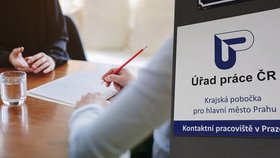 Češi plní „pracáky“. Nezaměstnanost vzrostla na čtyři procenta, práci nemá skoro 300 tisíc lidí