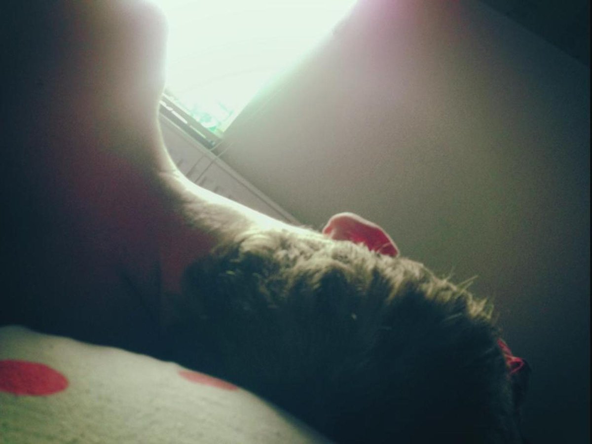12. května 2013  10:54 hod.  Agáta si svého miláčka fotí, i když spí.