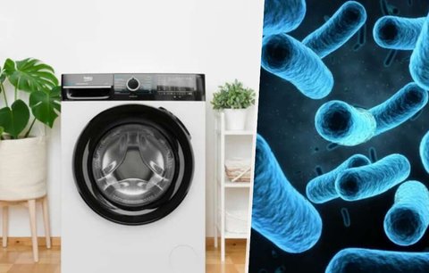 Experti varují před špatně vypraným prádlem: Množení mikrobů a šíření nemocí