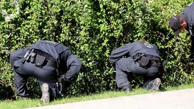 Do pátrání se vedle policistů zapojili i místní nebo třeba hasiči.