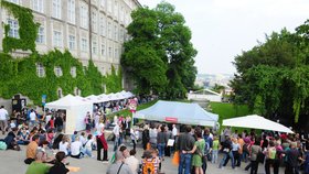 O Prague food festival je zájem