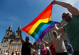 Senát schválil novou podobu stejnopohlavního partnerství