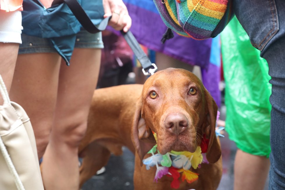 Duhový průvod Prague Pride 2019.