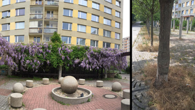 Zanedbané „Stonehenge" na Hájích v Praze: Místním vadí zarostlé prostranství s betonovými sloupy