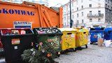 Povánoční úklid: Vyhozené stromky patří k popelnicím a kontejnerům. Do přírody ani náhodou!