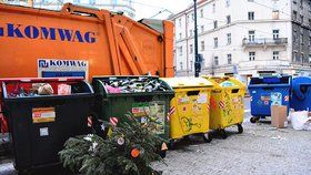 Povánoční úklid: Vyhozené stromky patří k popelnicím a kontejnerům. Do přírody ani náhodou!