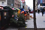 Svoz vánočních stromků v Praze.