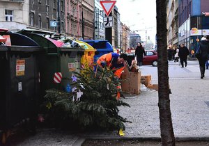 Svoz vánočních stromků v Praze.