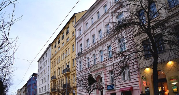 Nevyhazujte stromky z oken! Praha 2 prosí občany, aby je vynesli po schodech před dům.