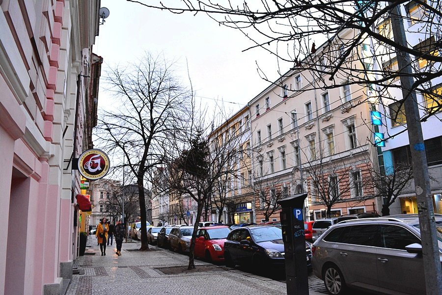 Nevyhazujte stromky z oken! Praha 2 prosí občany, aby je vynesli po schodech před dům.