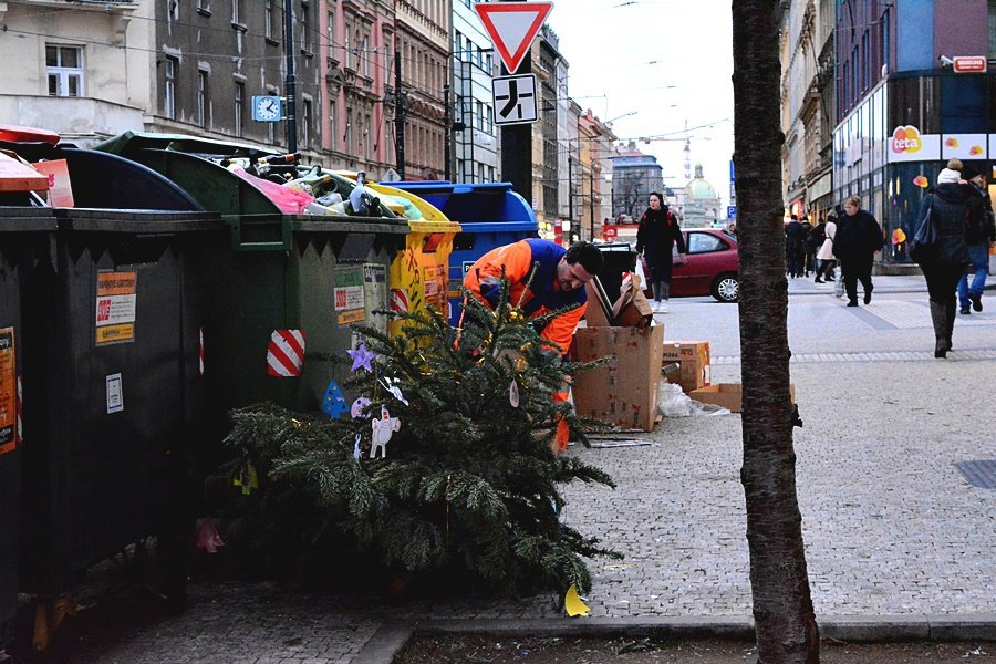 O kus dál jiní občané bez problémů nosí stromky ke kontejneru. Ovšem kdyby jej odstrojili, mohl by se využít na kompost.