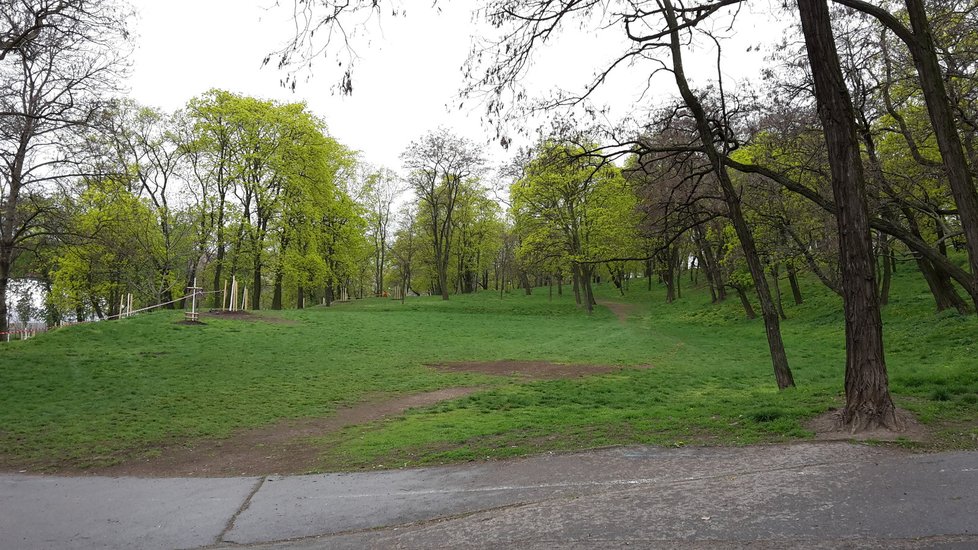 Židovské pece rozkvetly a cesty parku lemují lány narcisů.