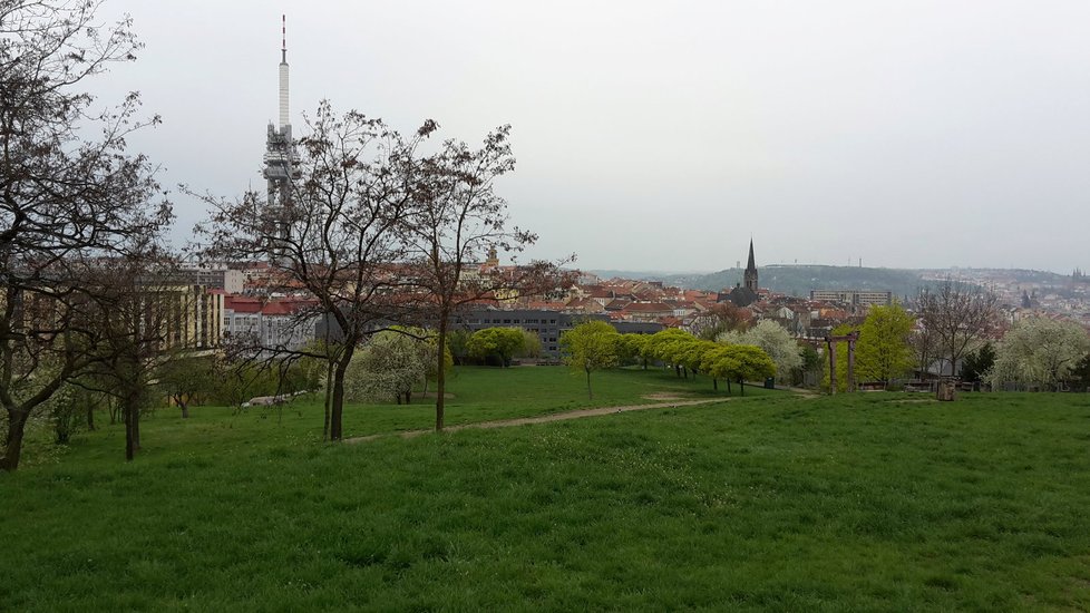 Parukářka návštěvníkům nabízí okouzlující výhled na celou Prahu, žižkovský vysílač uvidíte v celé své kráse.