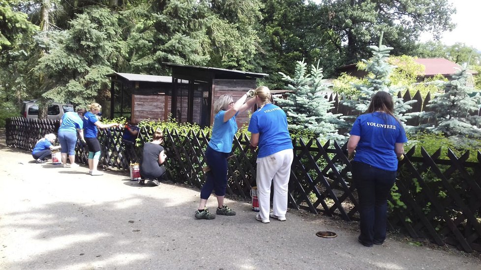 V zookoutku v Chuchli pomáhali dobrovolníci, aby byl čistší a krásnější.