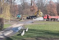 Stroje a dělníci ve Stromovce mají napilno: Revitalizace parku a rybníků skončí v prosinci