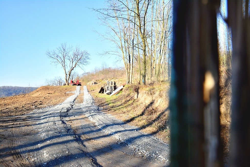 Zásahy v chráněném území Natura 2000 přírodního parku Draháň-Troja