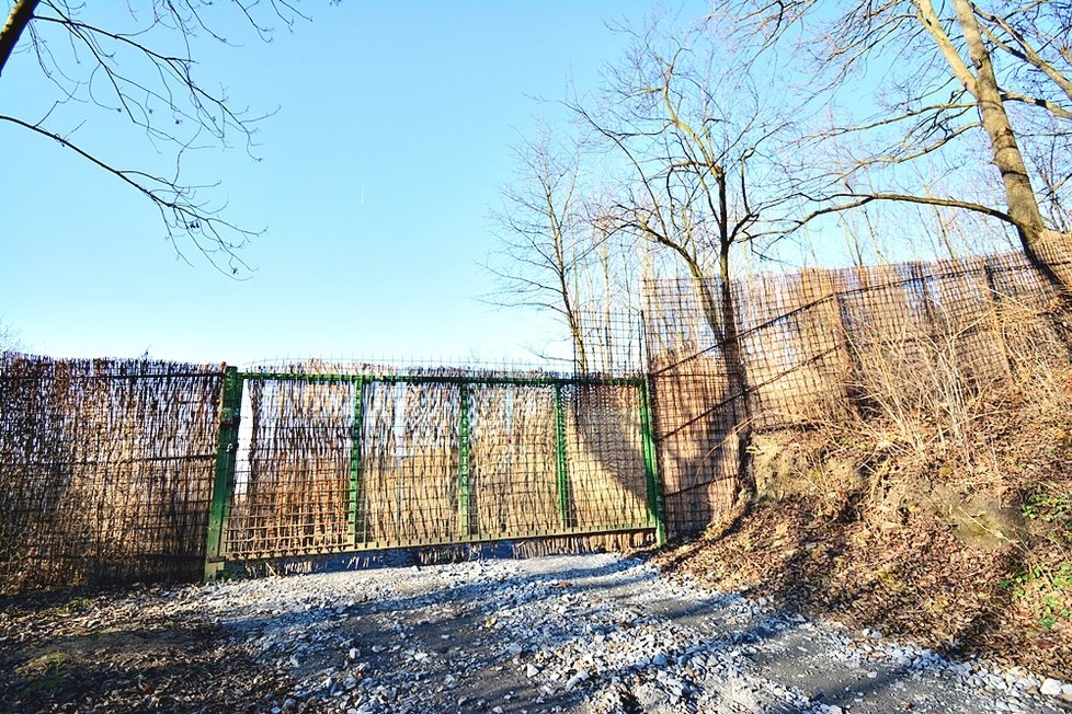 Zásahy v chráněném území Natura 2000 přírodního parku Draháň-Troja