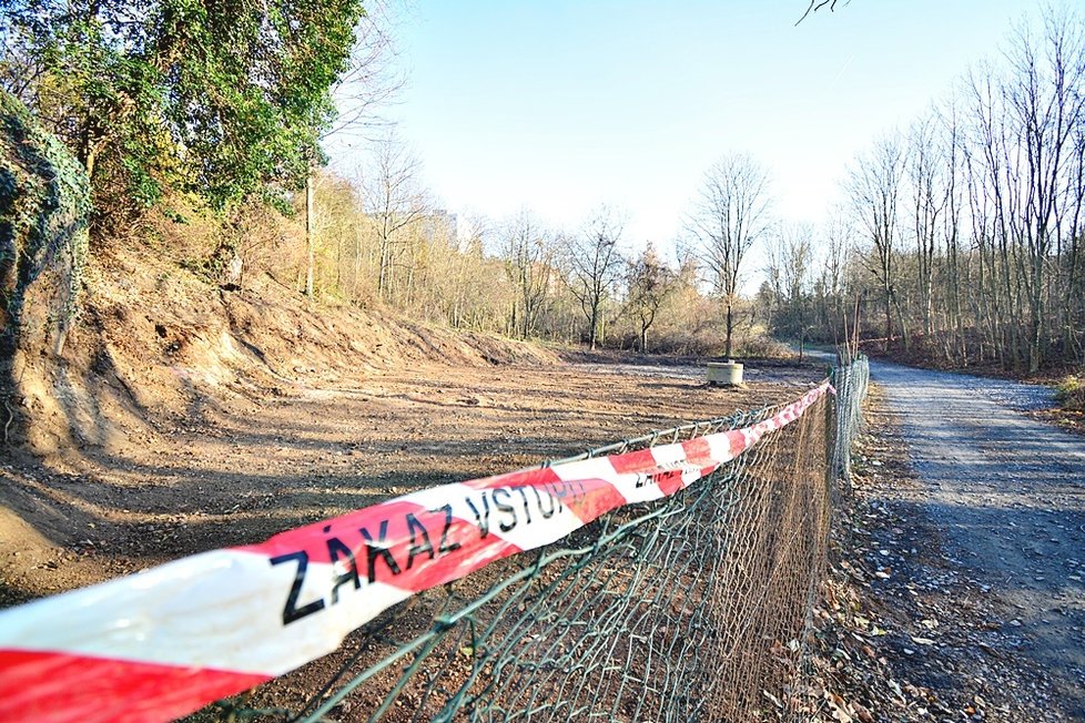 Zásahy v chráněném území Natura 2000 přírodního parku Draháň-Troja