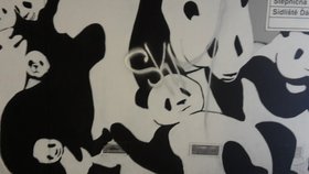 Nápisy vandalů na obrázcích pand