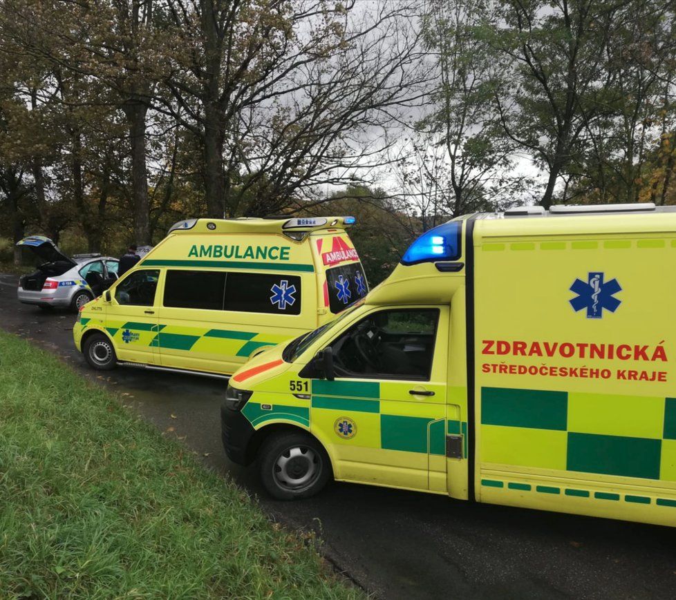 Policejní posádka narazila do stromu. Muž a žena utrpěli střední zranění.