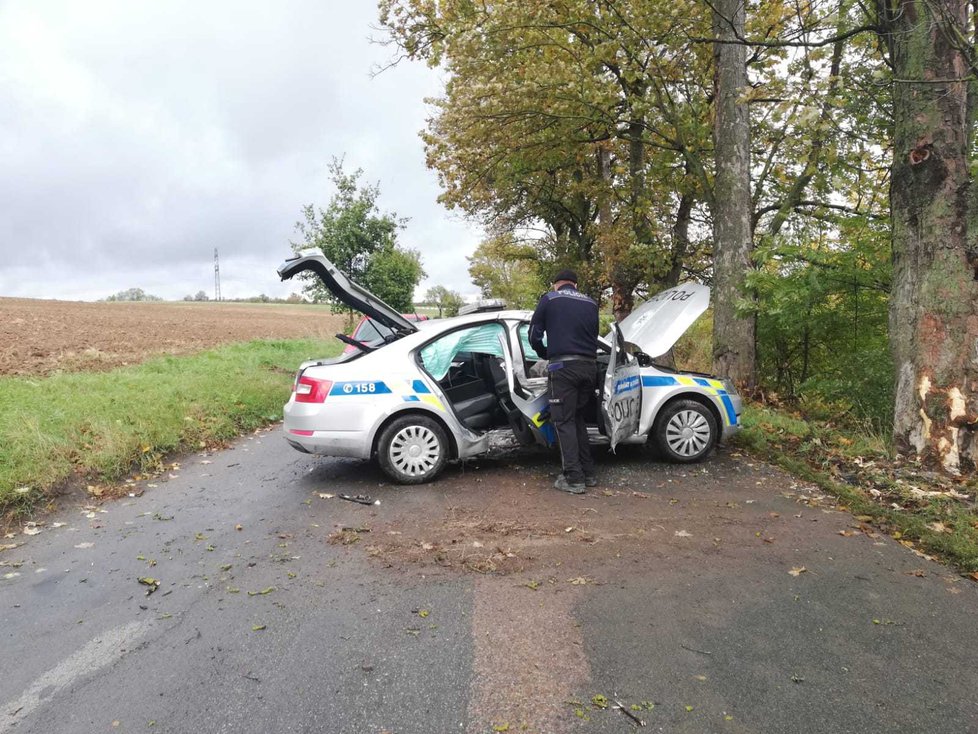 Policejní posádka narazila do stromu. Muž a žena utrpěli střední zranění.