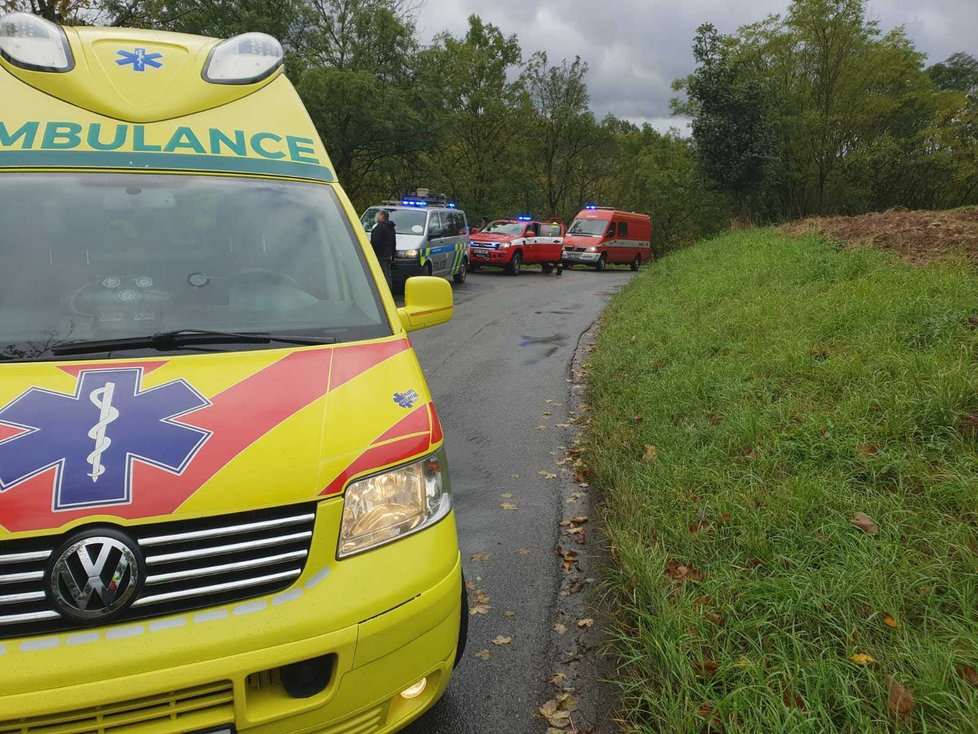 Policejní posádka narazila do stromu. Muž a žena utrpěli střední zranění.