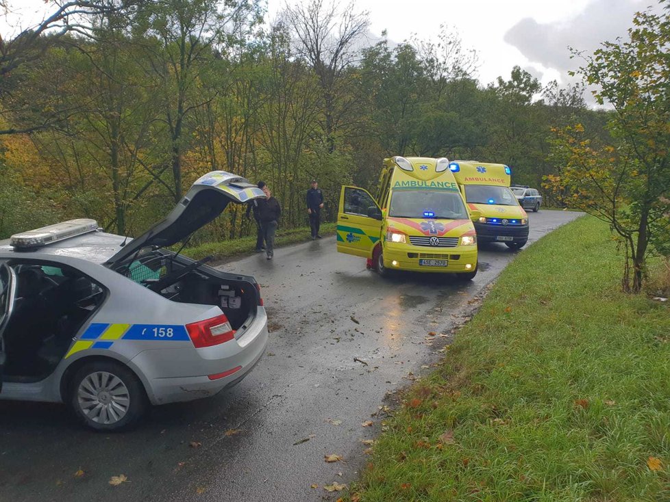 Policejní posádka narazila do stromu. Muž a žena utrpěli střední zranění.