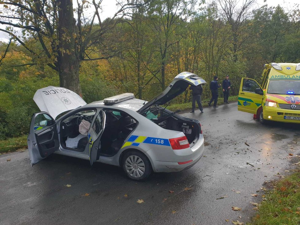 Policejní posádka narazila do stromu. Muž a žena utrpěli střední zranění.