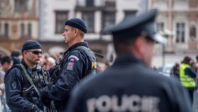 V Praze se kvůli teroristickému útoku ve Vídni 2. listopadu zvýšila bezpečnostní opatření.(ilustrační foto)
