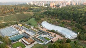 V pražské botanické zahradě staví nový most. Propojí zahradu se skleníkem Fata Morgana