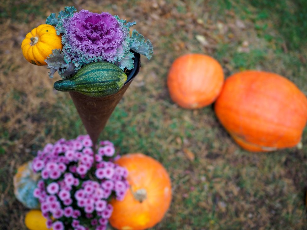 Dýňový podzim v trojské botanické zahradě. (říjen 2021)