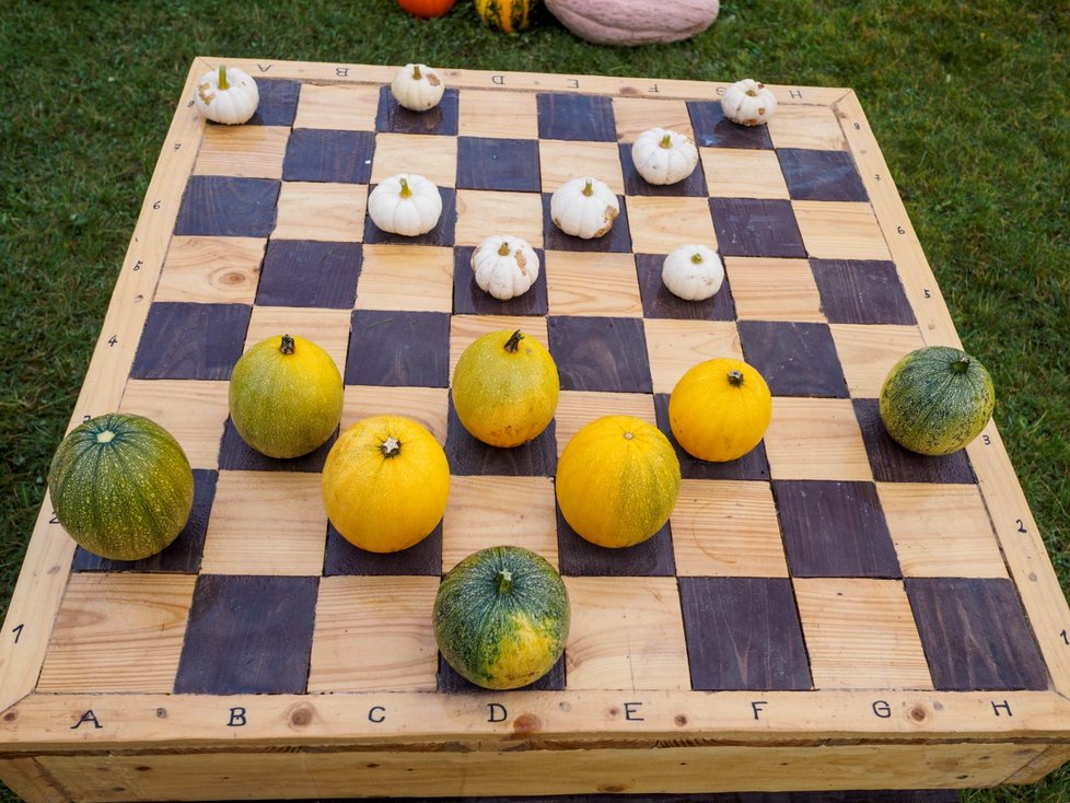 Dýňový podzim v trojské botanické zahradě. (říjen 2021)