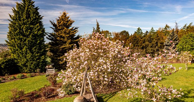 Rozkvetlá botanická zahrada v pražské Troji. (9. května 2021)